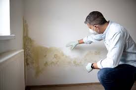 Forensic Mold Investigation in Ludlow, KY